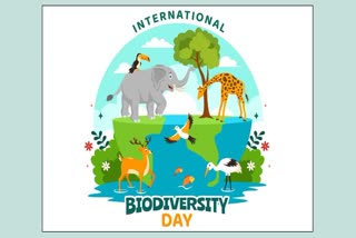 International Day for Biological Diversity