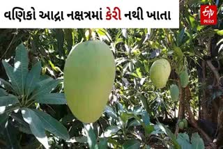 વણિકો આદ્રા નક્ષત્રમાં કેરી આરોગતા નથી