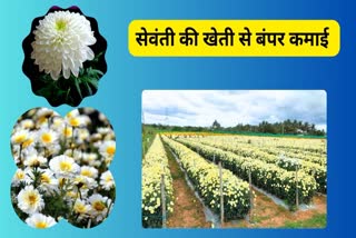 FLORICULTURE IN CHHATTISGARH