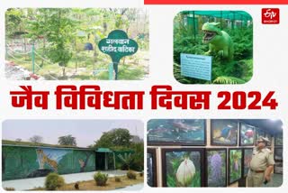 BIODIVERSITY DAY 2024