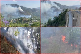 Solan Forest Fire Incident