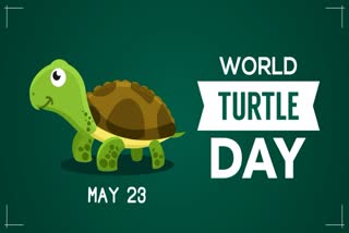 WORLD TURTLE DAY 2024