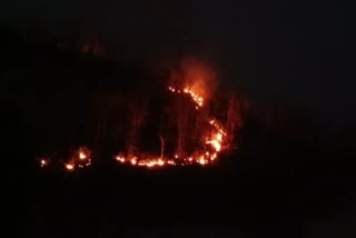 PANNA FOREST MASSIVE FIRE BROKE OUT