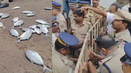 പെരിയാറിലെ മത്സ്യക്കുരുതി  FISH FARMERS PROTEST PCB OFFICE  MASS FISH DEATH IN PERIYAR  മത്സ്യം എറിഞ്ഞ് പ്രതിഷേധം