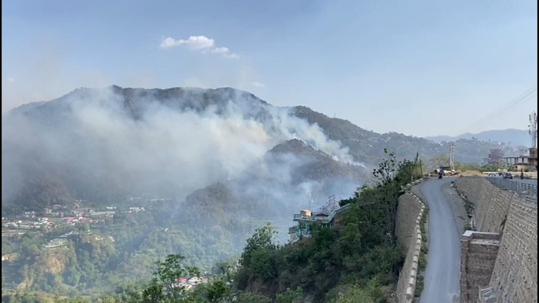 Solan Forest Fire Incident