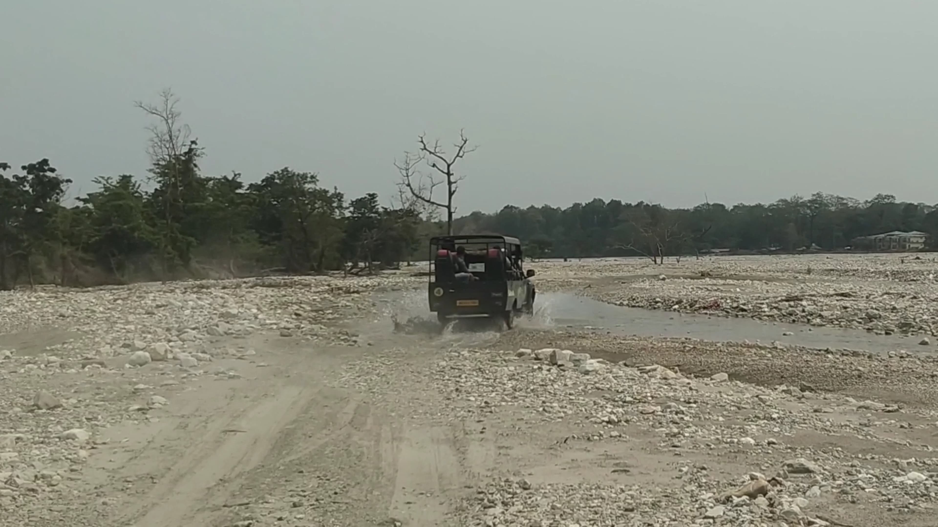 Jayanti Forest Safari