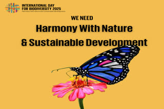 The Sustainable Development Goals.