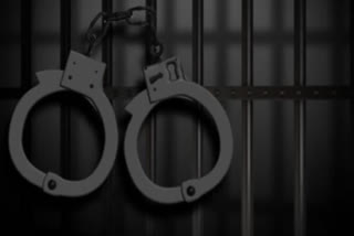 POCSO CASE  LATEST NEWS  Thiruvankulam Girl Murder  തിരുവാങ്കുളം കൊലപാതകം