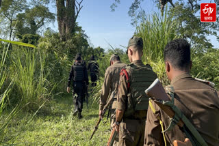 Poacher killed in a clash between forest guard and poachers