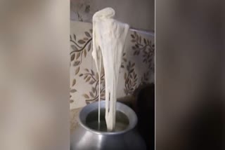 MILK TURNS INTO PLASTIC WHEN BOILED  ADULTERATED MILK IN PUNJAB  MILK VIRAL VIDEO  പാല്‍