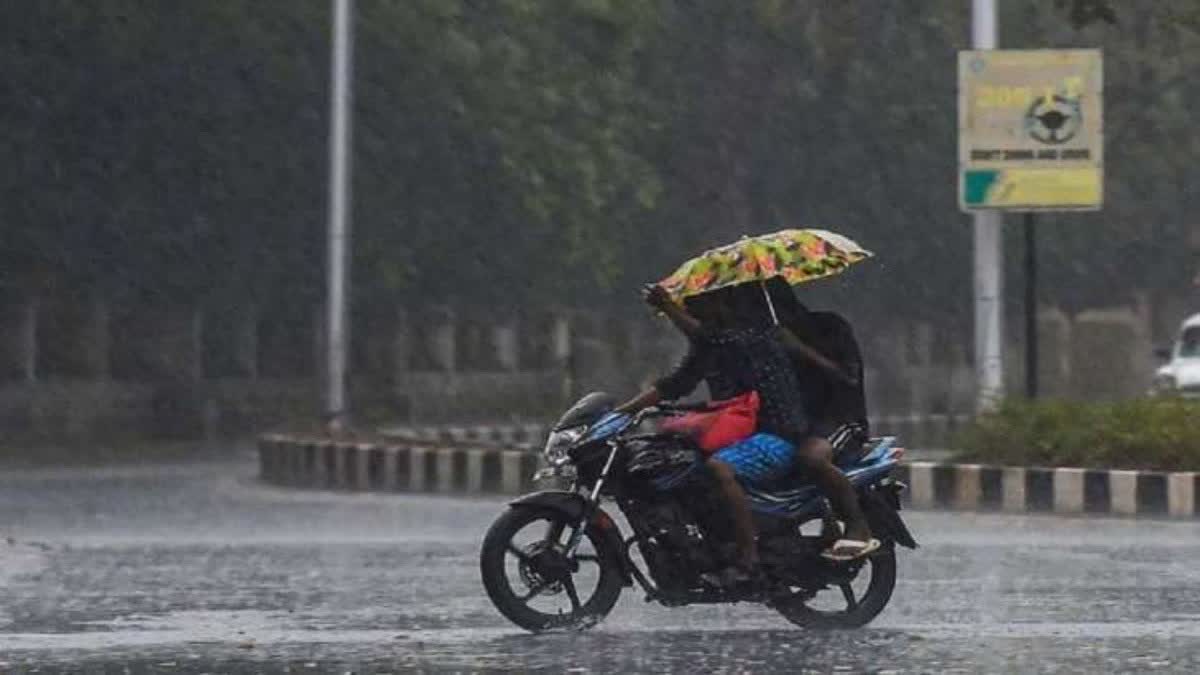 Rain News : રાજ્યના કેટલાક વિસ્તારોમાં છુટા છવાયા વરસાદની આગાહી