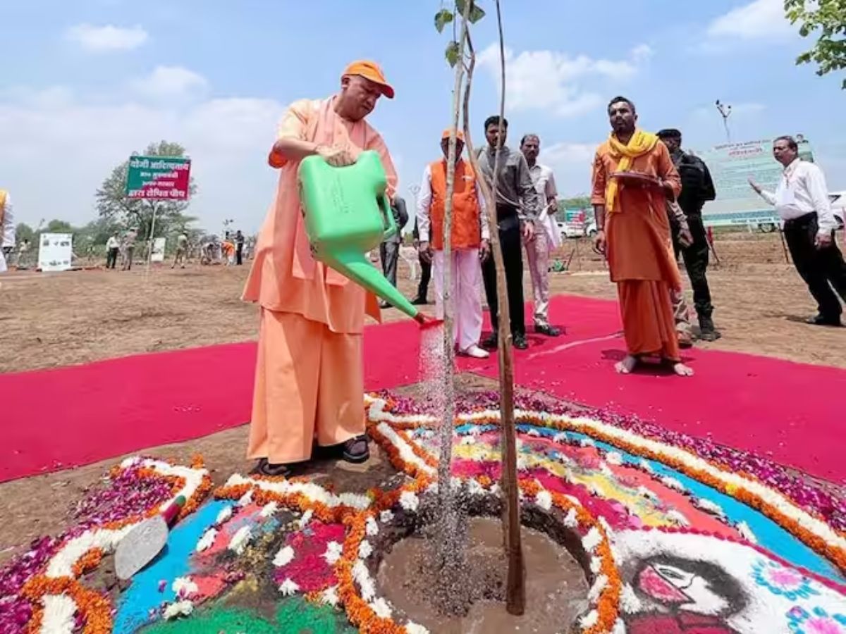 पौधरोपण करते मुख्यमंत्री योगी आदित्यनाथ. फाइल फोटो