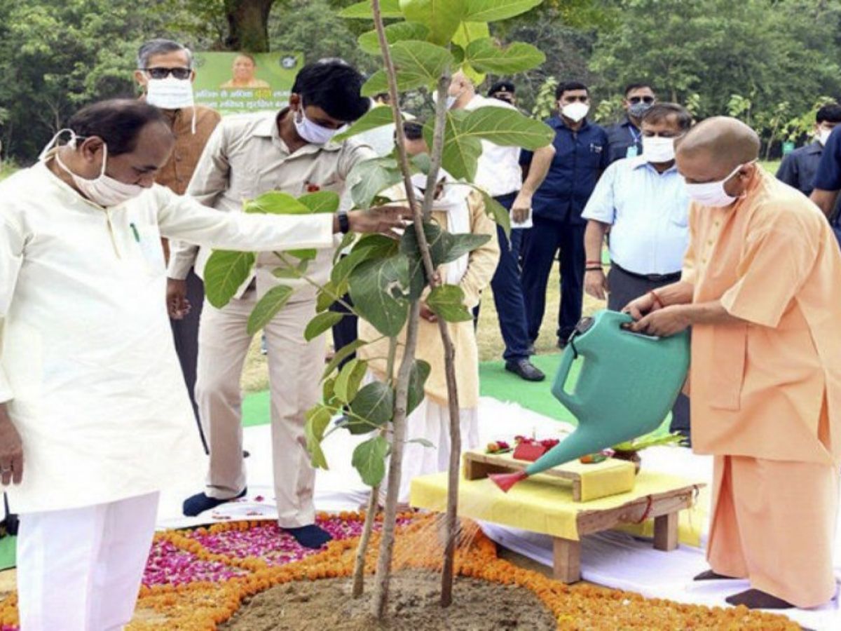 पौधरोपण करते मुख्यमंत्री योगी आदित्यनाथ. फाइल फोटो