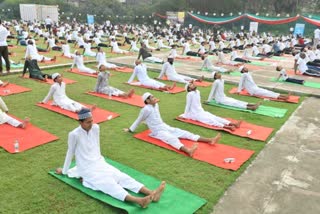 Yoga Day at AMU