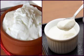 Uses of Sour Curd