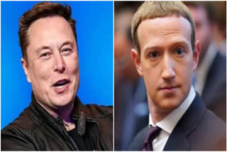 A battle has begun between social media giants Zuckerberg and elon Musk