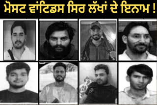 NIA Most Wanted List includes 8 gangsters, some from Punjab and some from Haryana