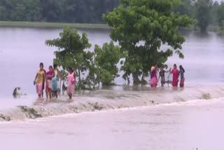 Assam Flood : આસામના 780 ગામ પાણીમાં ગરક, ભારતીય હવામાન વિભાગે 'ઓરેન્જ એલર્ટ' જાહેર કરી