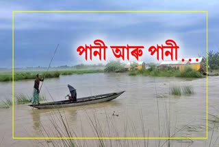 Flood in Assam