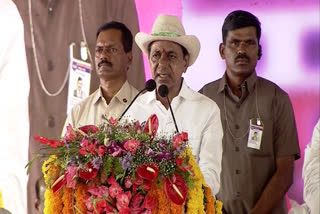 CM KCR