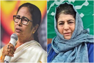 Mamata, Mehbooba reach Patna for oppn meet