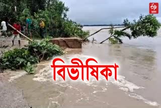 severe erosion of Dikrong River