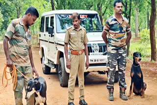 வனப்பகுதியில் இரண்டு மோப்ப நாய்கள் கொண்டு சோதனை