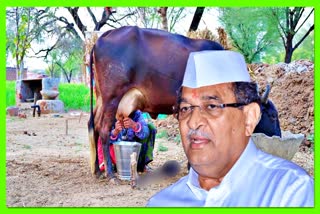 Vikhe Patil On Milk Price Hike