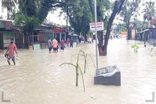 Baksa flood news