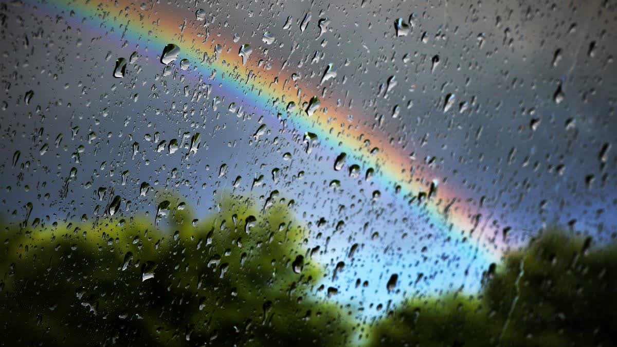 Monsoon In Chhattisgarh