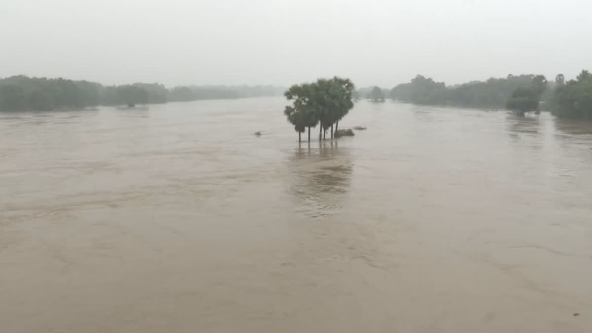 Assam Flood