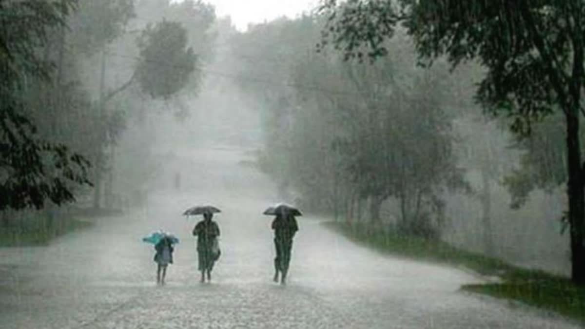 Monsoon In Odisha