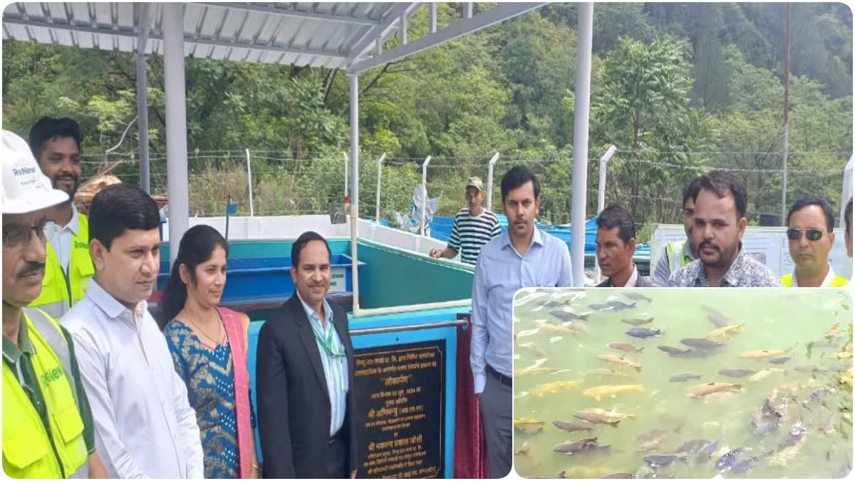 Production of Golden Mahseer Fish