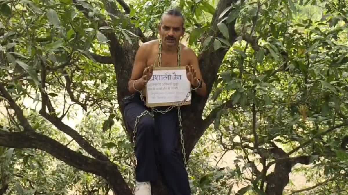 REWA PROTEST ON 80 FEET HIGH TREE