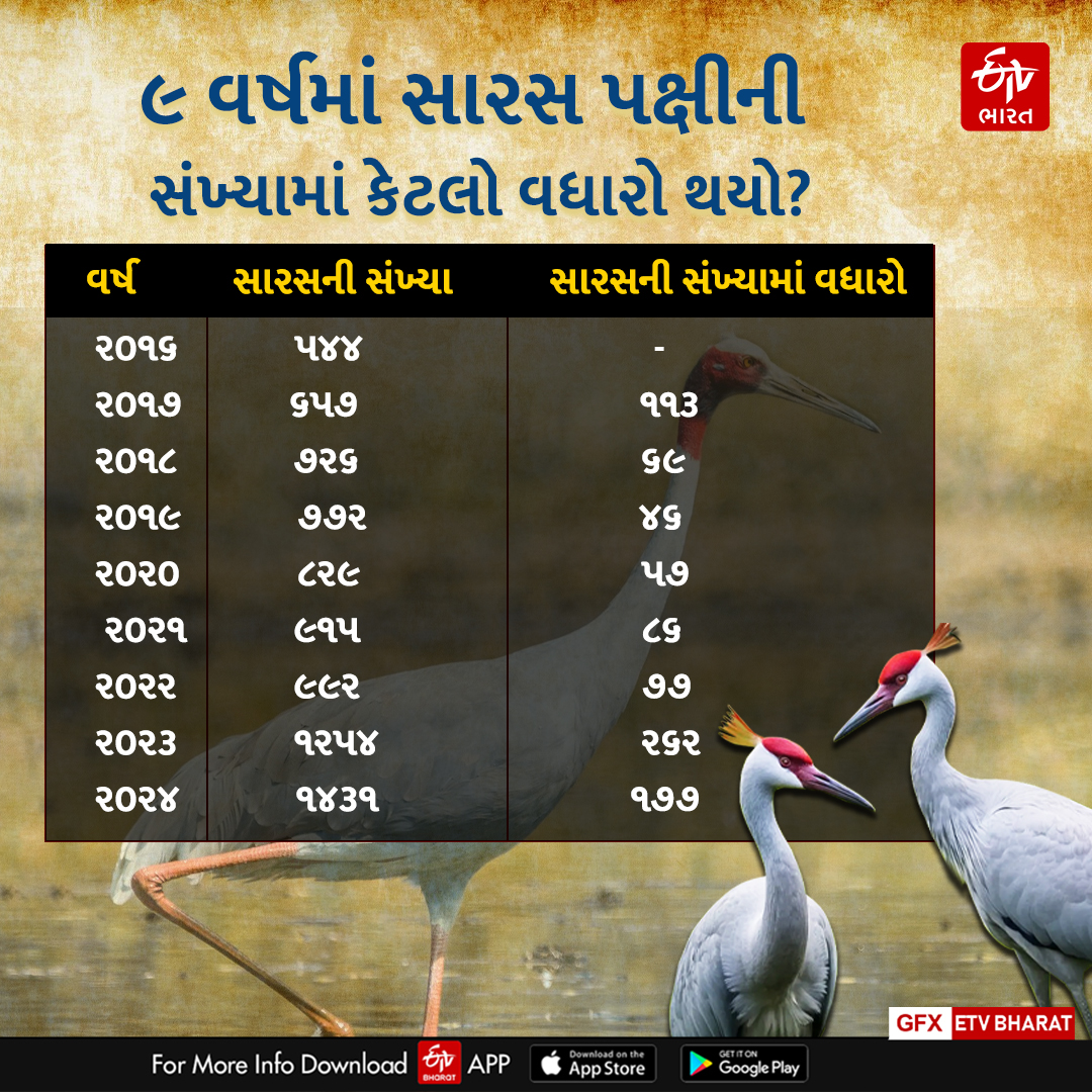 છેલ્લા નવ વર્ષના આંકડા