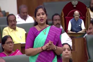 home_minister_anitha_comments_on_ayyanna_patrudu