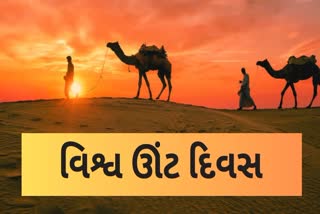 યુનાઈટેડ નેશન્સે વર્ષ 2024ને ઈન્ટરનેશનલ યર ઓફ કેમેલીડ્સ તરીકે જાહેર કર્યું