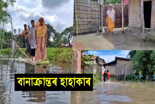 rains have subsided but many families are still under floods in rangia