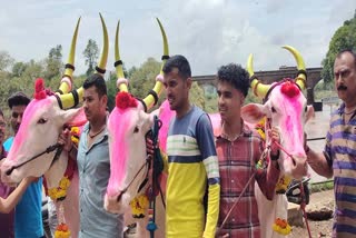 Bendur Festival Kolhapur