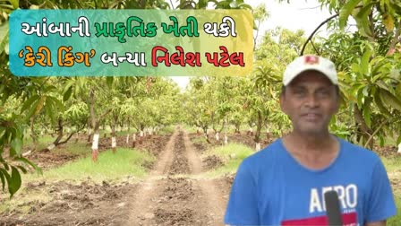 "કેરી કિંગ" નિલેશ પટેલ