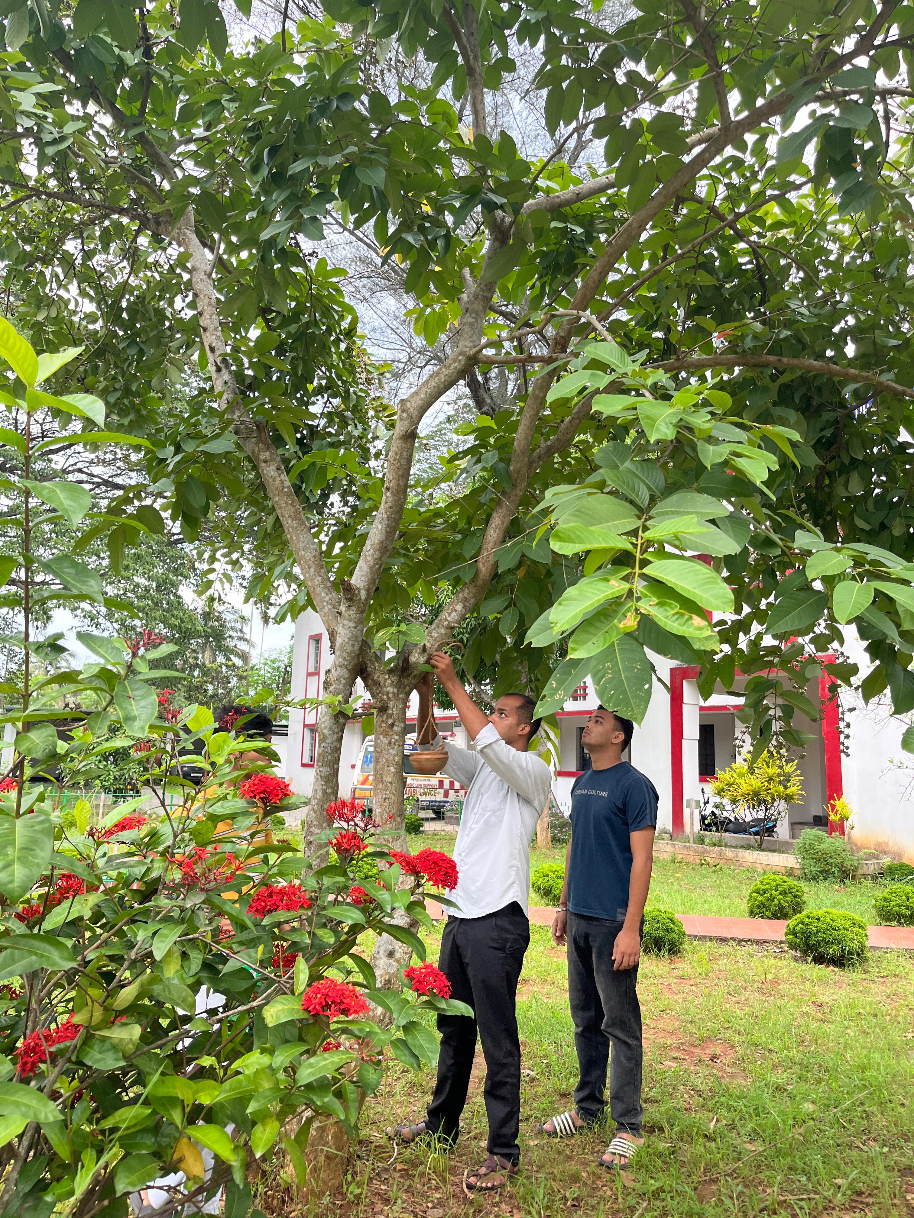 unique measures for birds In Guwahati