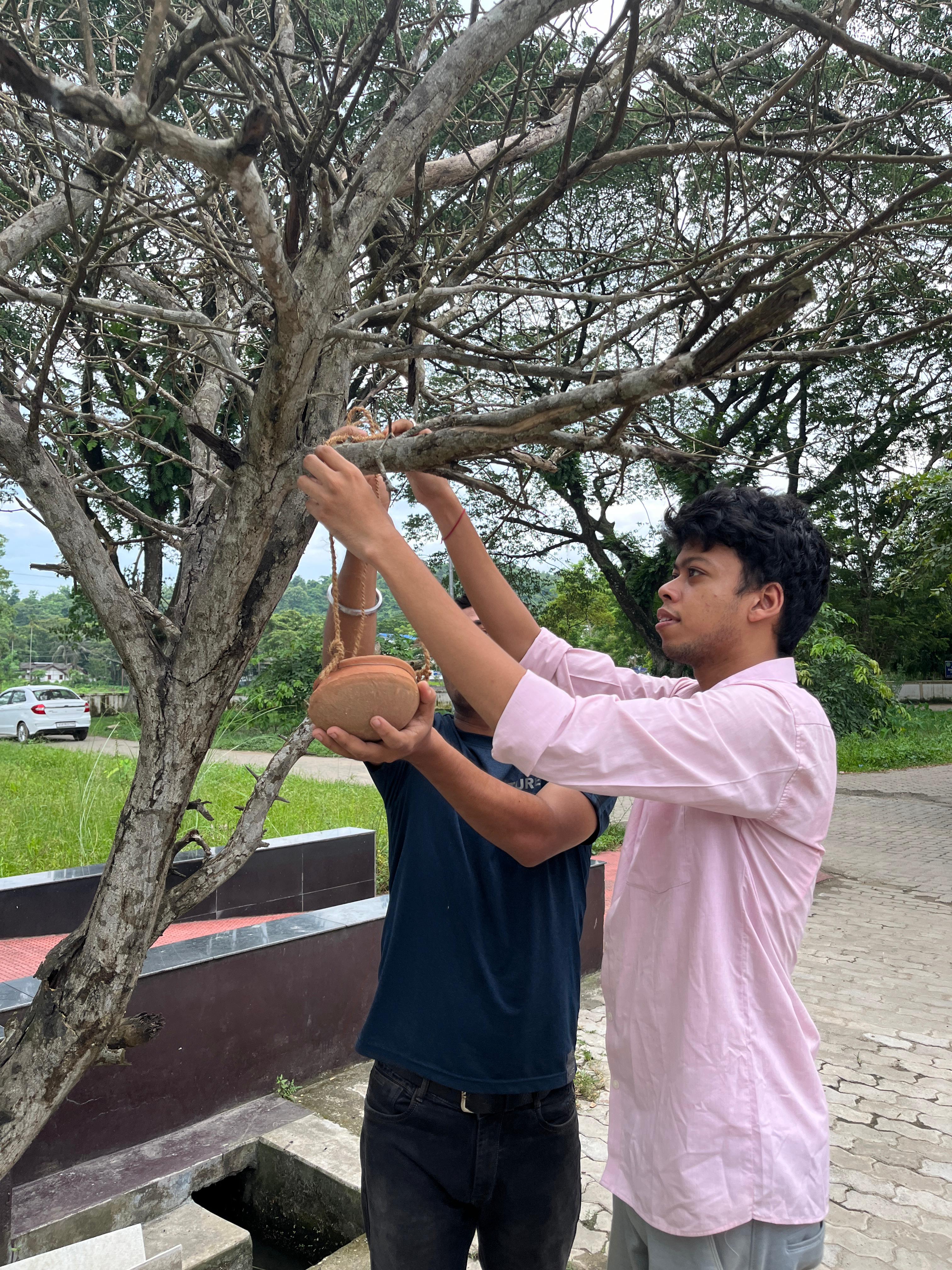 unique measures for birds In Guwahati