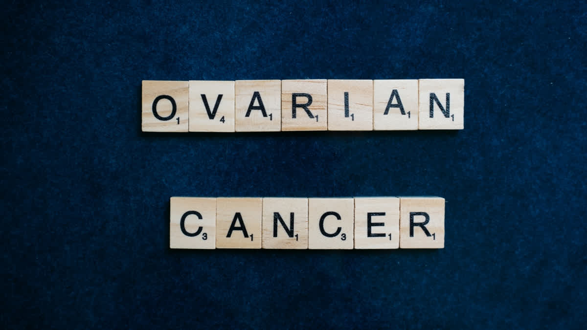 Obesity increases the risk of ovarian cancer
