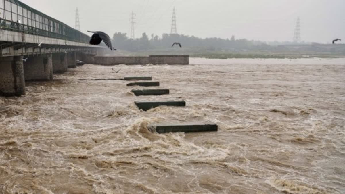 Yamuna water level continues to stay above danger mark  യമുനയിലെ ജലനിരപ്പ്  യമുന  യമുന നദി  Yamuna water level  Yamuna water level latest updates  ജലനിരപ്പ് അപകടസൂചികയ്‌ക്ക് മുകളിൽ  National news