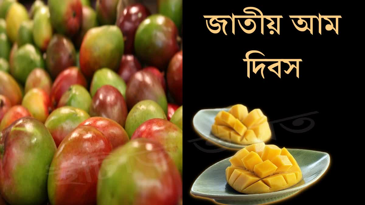 National Mango day 2023 news