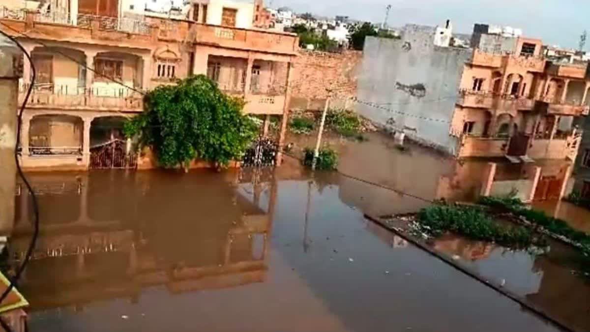 heavy rain in jodhpur