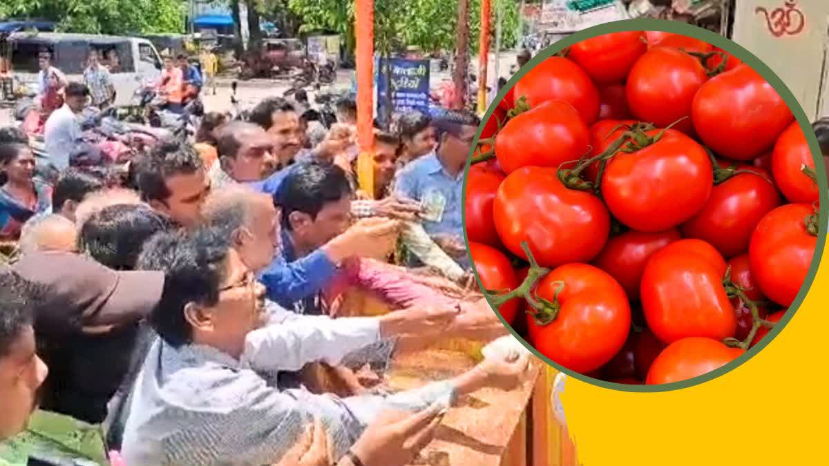 Tomatoes At Half Price