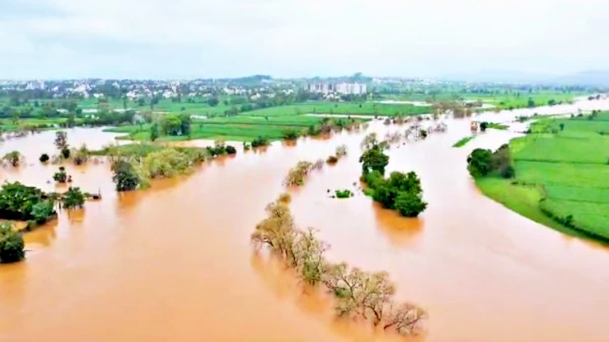 Kolhapur Rain Update