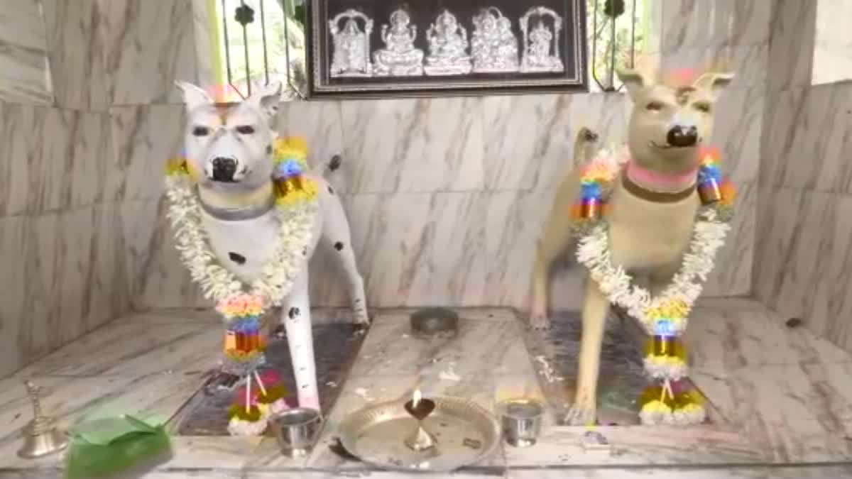 Dog worshipped as God in a temple in Karnataka