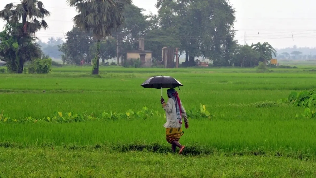 વરસાદે ગુજરાતને ઘમરોળ્યું